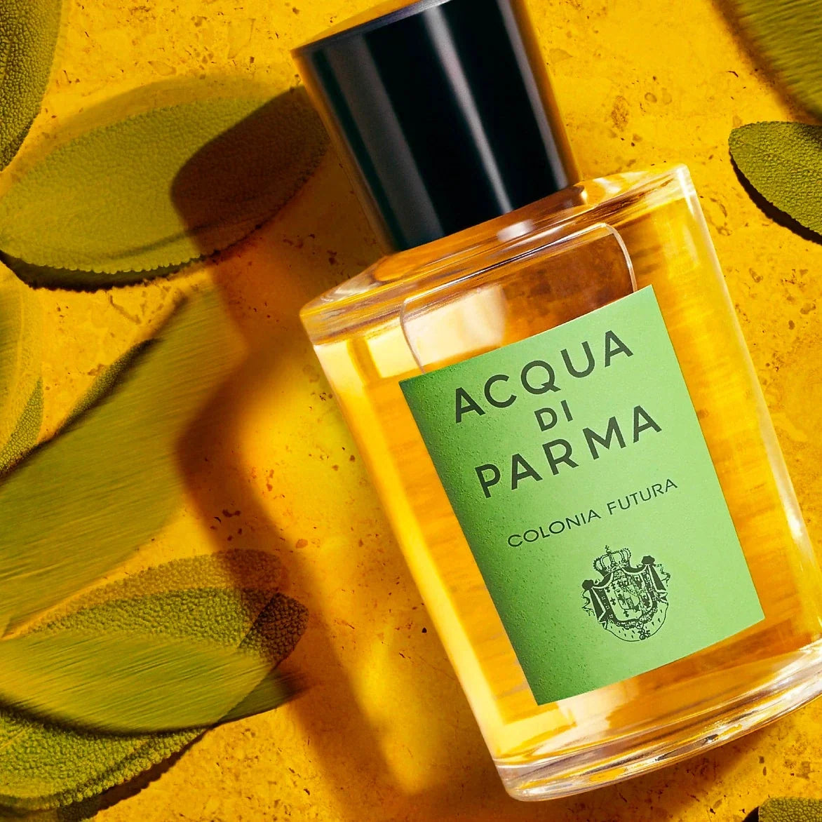 Acqua di Parma Colonia Futura eau de cologne 100 ml (3.4 oz) - vista 2
